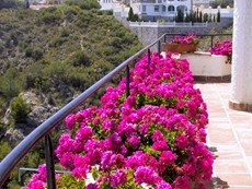 Photo 2 of Reviews of Andalusia Private Villa