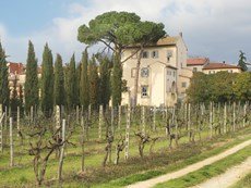 Photo of Villa in Tuscany in a Small Village