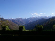 Photo 2 of Reviews of Charming Villa in Tuscany On the Edge of an Authentic Hill Town