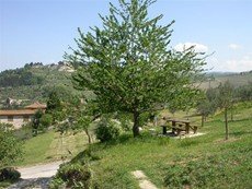 Photo 2 of Reviews of Country House Near Florence