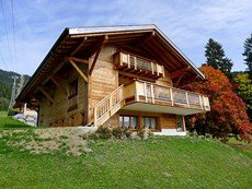 Photo of Three Story Suisse Villa Surrounded by Trees and Meadows