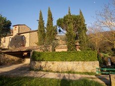 Photo of House Rental in Tuscany, Olmo