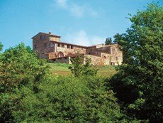 Photo 1 of Farmhouse Rental in Tuscany, Castellina in Chianti (Chianti Area)