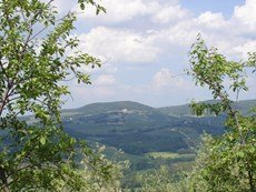 Photo of Family-Friendly Apartment with Charm and Comfort in the Chianti Region