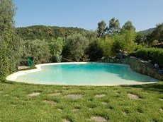 Photo 2 of Rural Italian Villa with Private Swimming Pool