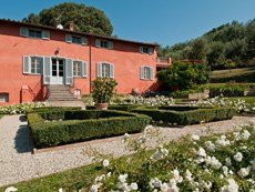 Photo of Large Tuscany Villas with a Private Pool and Olive Groves