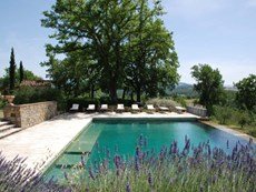 Photo of Family friendly Tuscan Villa on Wine-Producing Estate
