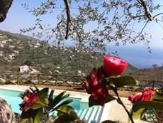 Photo of Amalfi Coast Villa within Walking Distance to Town