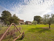 Photo of Apartment on Italian Working Farm 