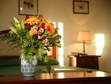 Photo 2 of Tuscany Villa Accommodation